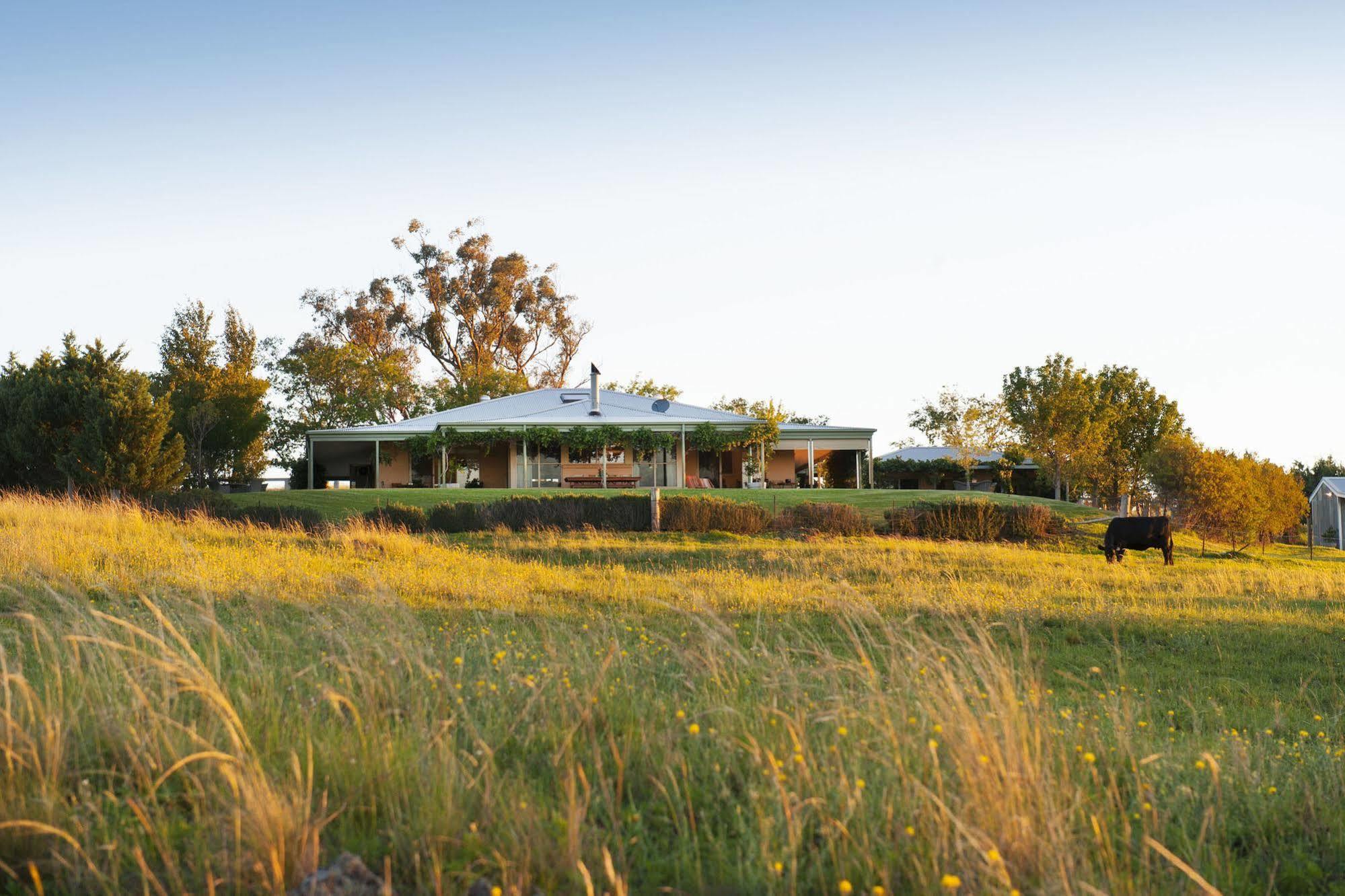 Rosby Guesthouse Eurunderee Exteriér fotografie